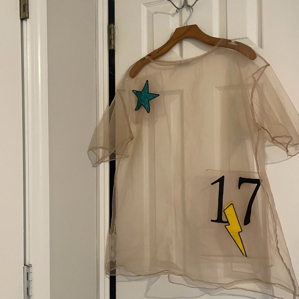 Zara semi-sheer top